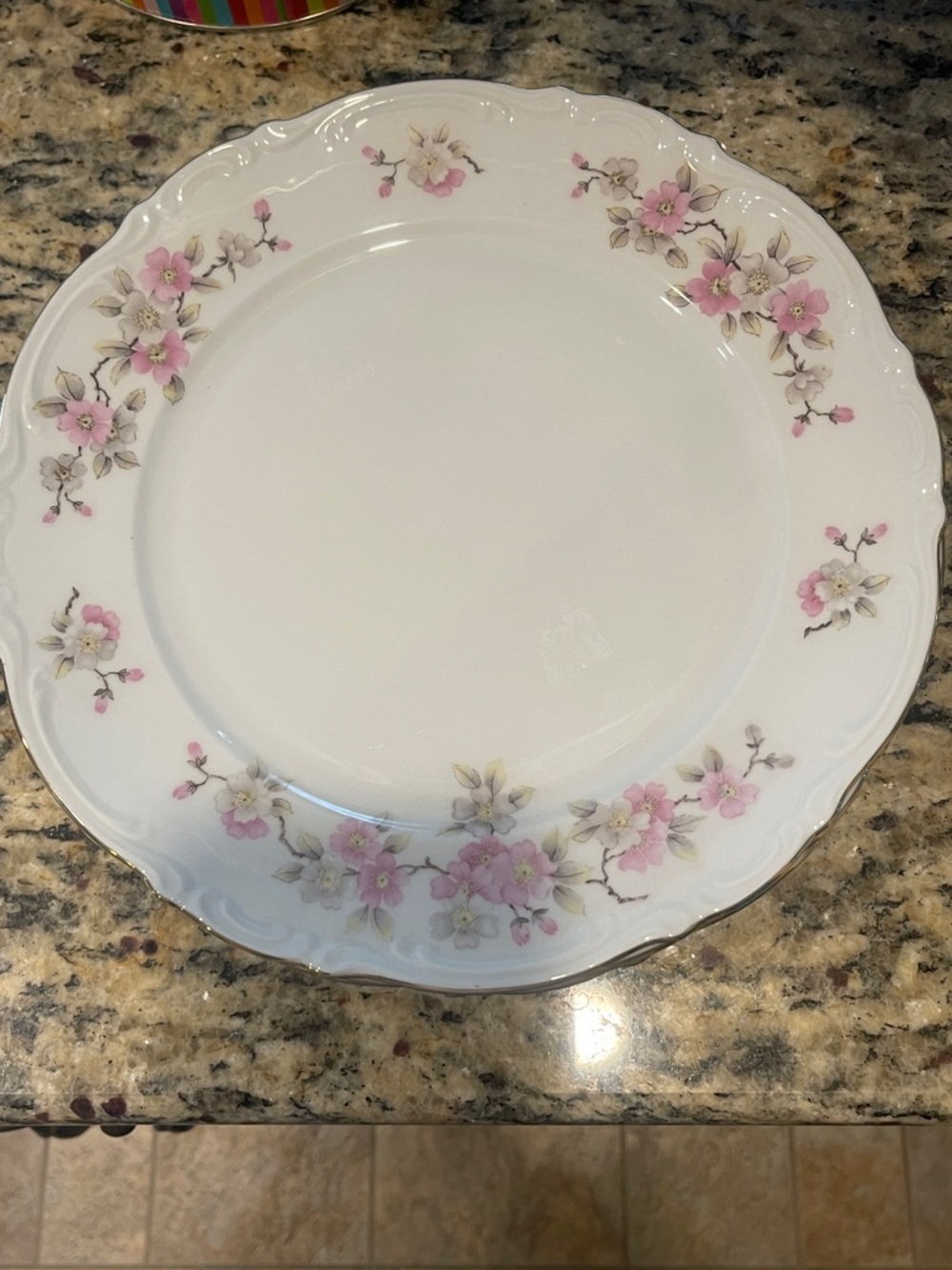 PATTERN SPRINGTIME BY MITTERTEICH FOUR LOT  10 1/2  INCH DINNER  PLATES MINT